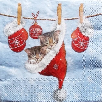 Deux chatons dans le bonnet de Noël