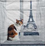 Chat à la fenêtre devant la Tour Eiffel