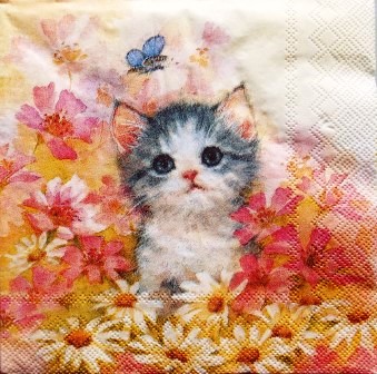 Beau chaton dans les fleurs