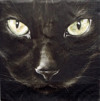 Yeux de chat noir