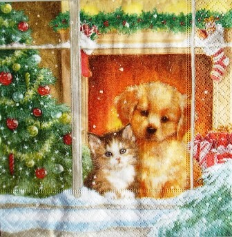 Chaton et chiot de Noël à la fenêtre