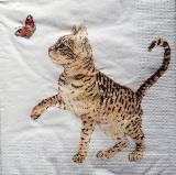 Le chat et le papillon