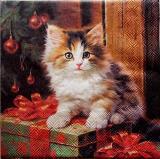 Chat &agrave; poils longs de No&euml;l