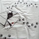 Chat dans le carton au coeur rouge