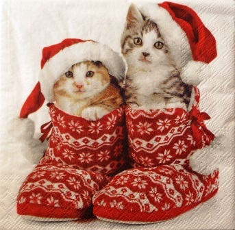 Chatons dans les chaussons de Noël