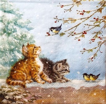 Chatons et oiseaux en hiver