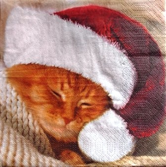 Chaton roux au bonnet de Noël