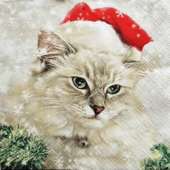 Beau chat gris au bonnet de Noël