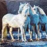 Beau trio de chevaux blancs