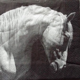Magnifique portrait de cheval gris