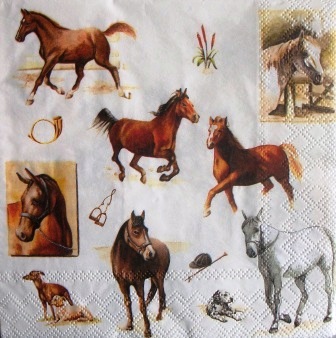 Multiples chevaux et accessoires