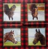 4 portraits de chevaux, cadres écossais