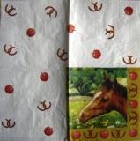 Tête de cheval, tour pommes et fers