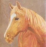 Beau portrait de cheval alezan