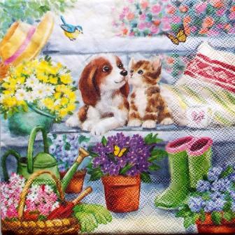 Chien et chat dans le jardin fleuri