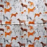 Multiples races de chiens