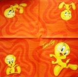 Diverses postures de Titi