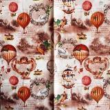 Ballons dirigeables et oiseaux divers