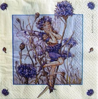 Flower Fairies : fée aux bleuets