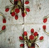Bouquet de coquelicots, fond marbré