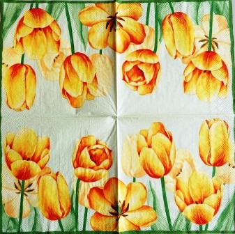 Belles tulipes jaunes