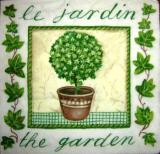 Pot de buis et lierre "le jardin"