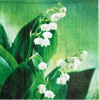 Belles tiges de muguet