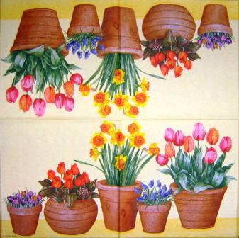 Pots de fleurs variées