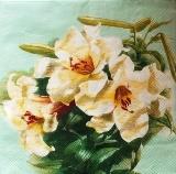 Belles fleurs de lys