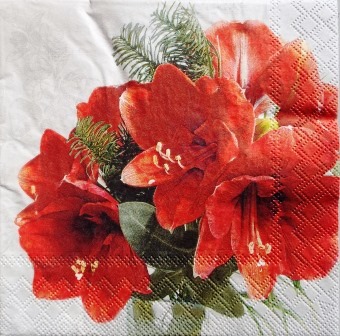 Bouquet d'amaryllis rouge