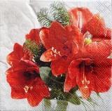 Bouquet d'amaryllis rouge