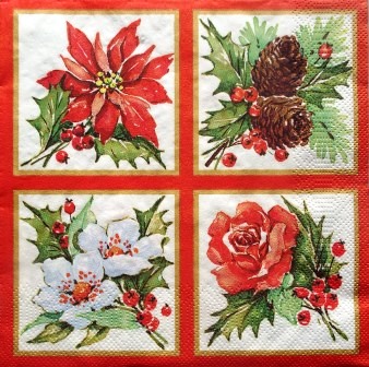 Fleurs de Noël : poinsettia, hellebore...