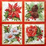 Fleurs de Noël : poinsettia, hellebore...