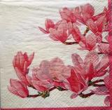 Magnolia rose