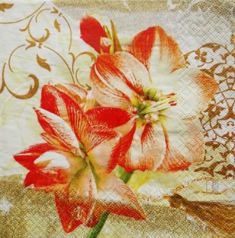 Fleurs d'amaryllis rouges et blanches