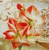 Fleurs d'amaryllis rouges et blanches