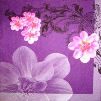 Fleurs roses sur fond violet