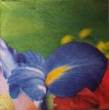 Fleur d'iris bleu