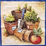 Pots de fleurs et pelle de jardinage