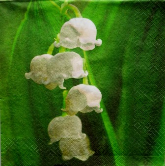 Belles clochettes de muguet