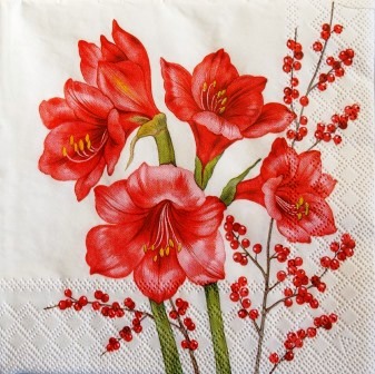 Amaryllis et baies rouges