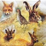 Portraits renard, lièvre, chevreuil, perdrix