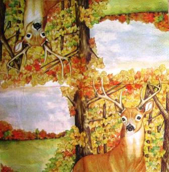 Cerf dans la forêt