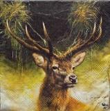 Beau portrait de cerf