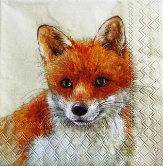 Beau portrait de renard