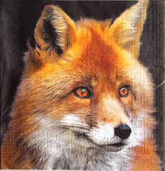 Magnifique portrait de renard