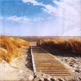 Chemin dans les dunes du bord de mer