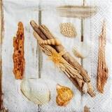 Coquillages, bois flotté et plume