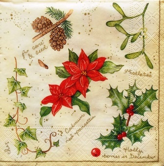 Poinsettia, houx, gui, lierre de Noël