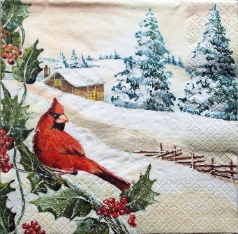 Bel oiseau cardinal sur paysage d'hiver